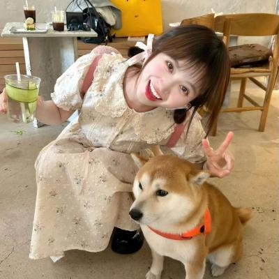 放心去飞